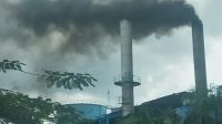 “Bohongi Publik” Cerobong Pabrik Refinery PT Nagamas Palmoil Lestari Dumai Kembali Cemari Udara