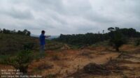Kapolda Respon Terkait Perambahan Hutan di Riau